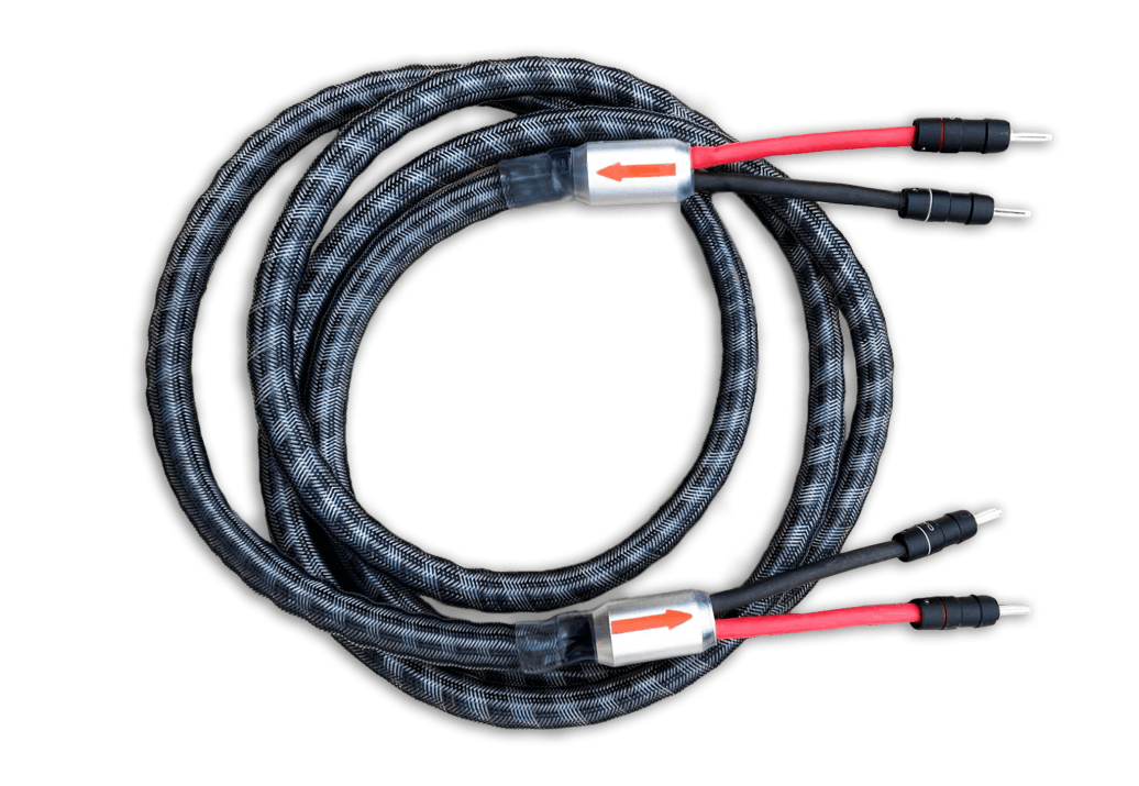 Missing Bond Speaker Cable
